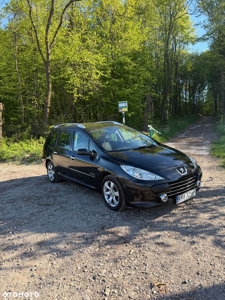 Peugeot 307 1.6 Oxygene - 3
