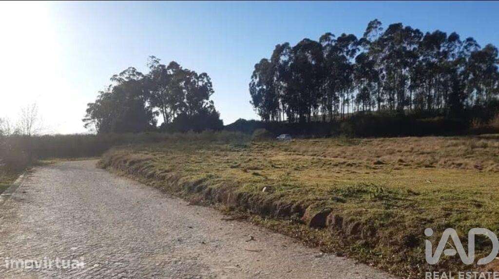 Terreno Agrícola em Bustelo - Grande imagem: 2/12