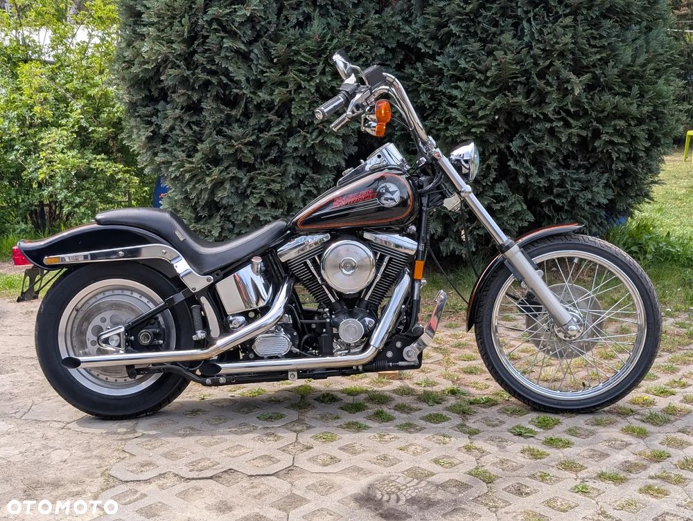 Harley-Davidson Softail Standard - 6