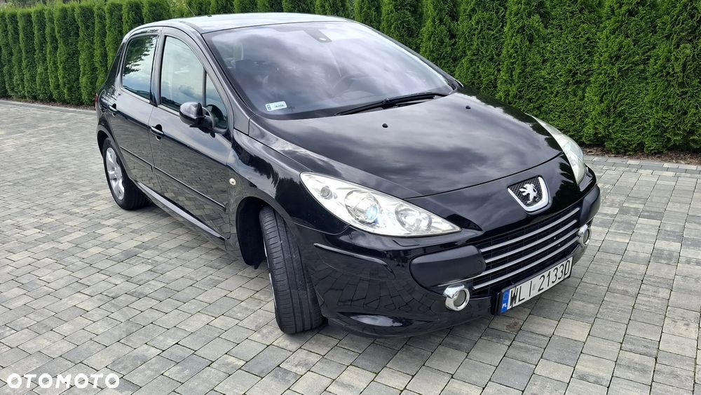 Peugeot 307 2.0 Premium Class - 32