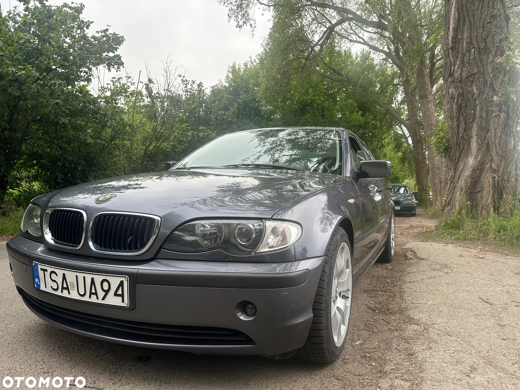 BMW Seria 3 330i - 2