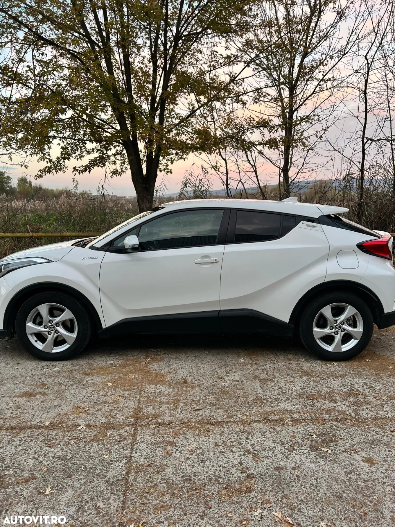 Toyota C-HR - 5