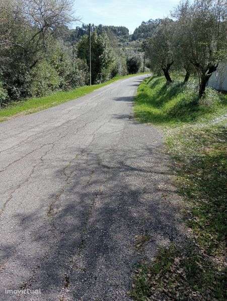 Vende-se terreno com casa em ruínas - Grande imagem: 2/5