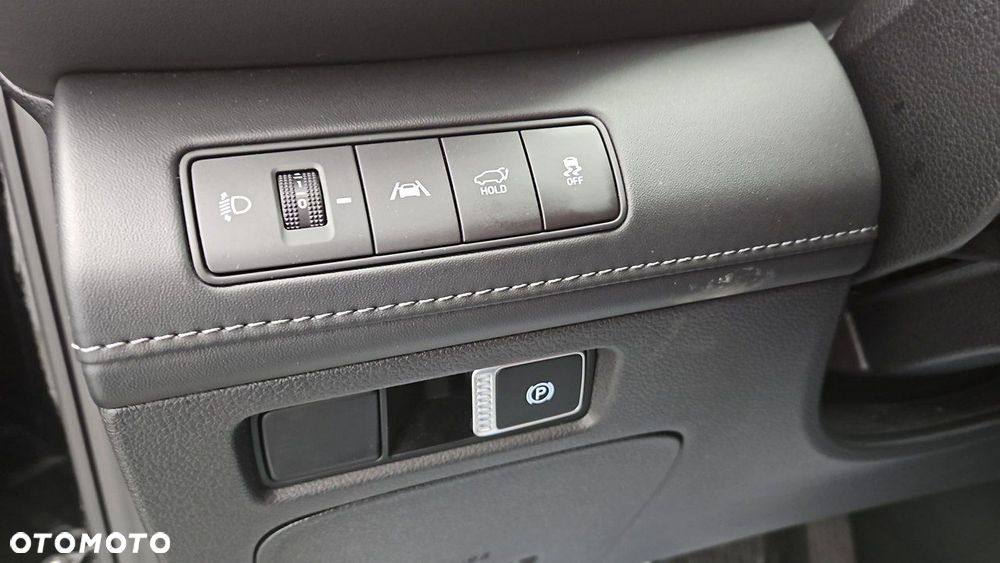 Hyundai Santa Fe - 17