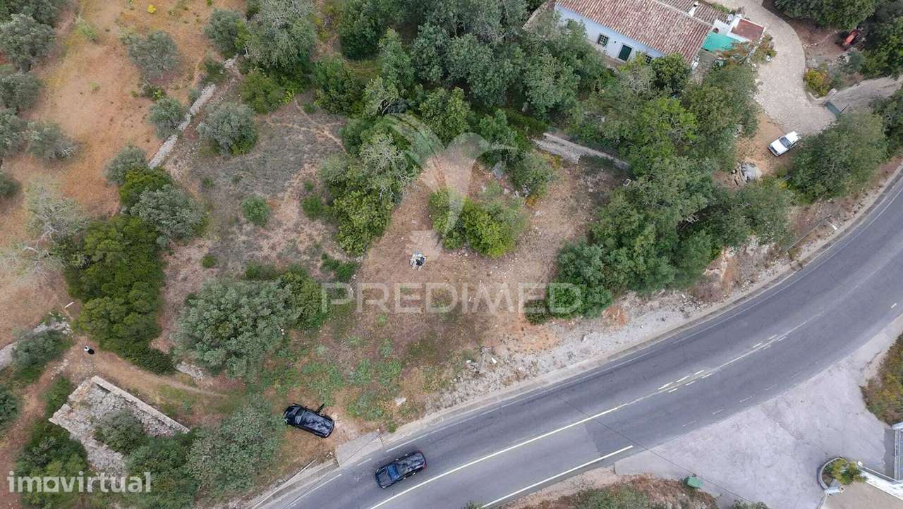 Vende-se Terreno Rústico 850mts - São Brás de Alportel (Machados) - Grande imagem: 4/8