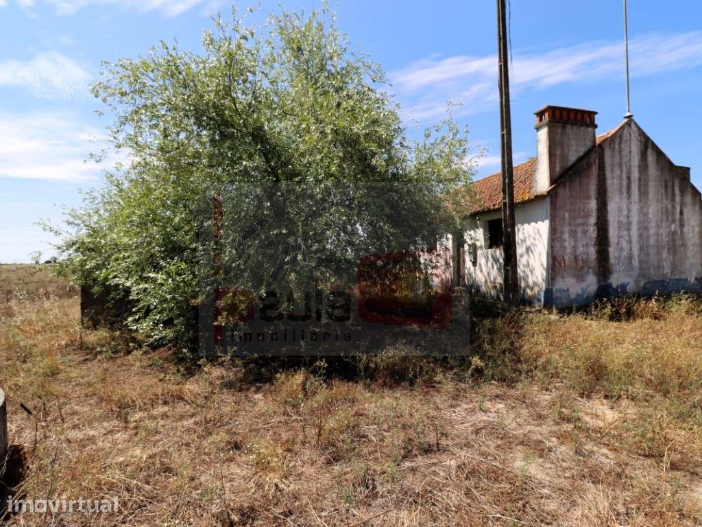 TERRENO COM 18150M2 FOROS DO CARRAPATAL - CANHA - MONTIJO - Grande imagem: 2/12