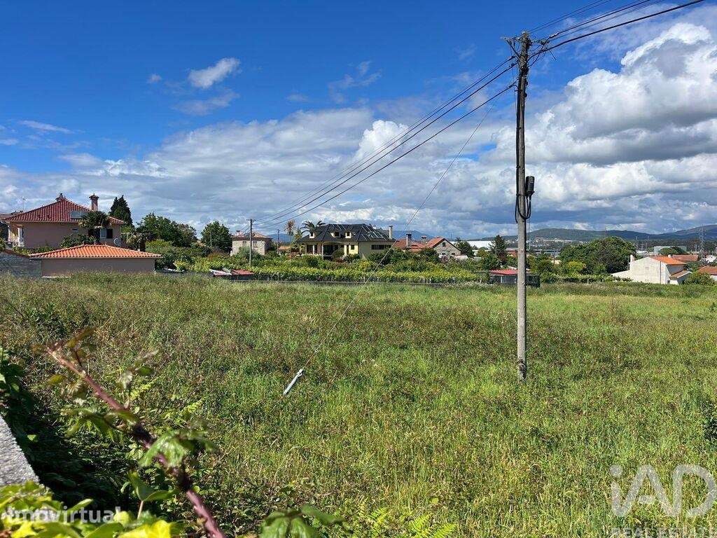 Terreno Agrícola em São Romão de Neiva - Grande imagem: 5/14