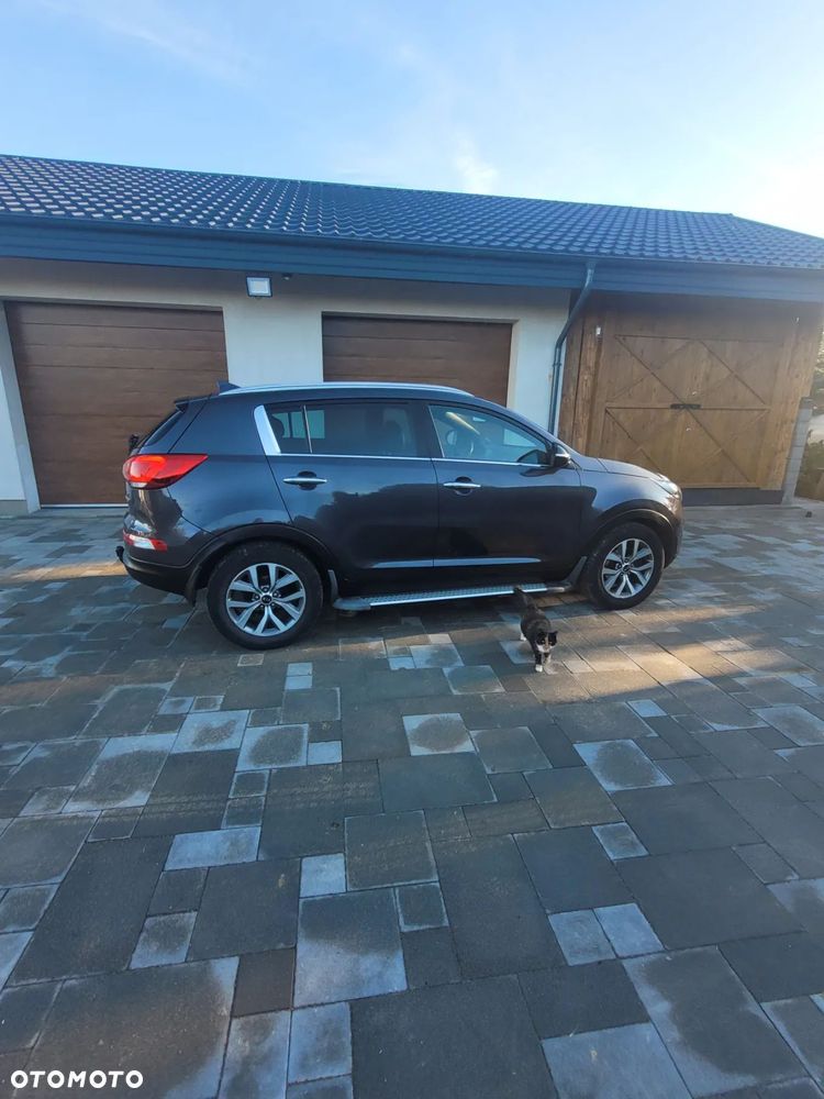 Kia Sportage - 3