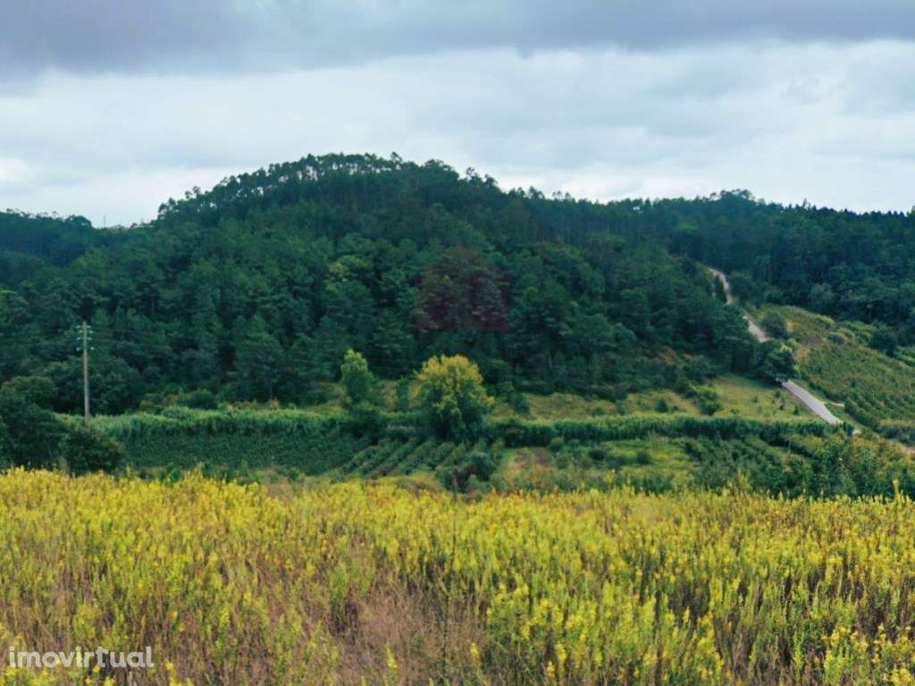 Terreno com projeto para 2 moradias e vista deslumbrante para o campo - Grande imagem: 2/20