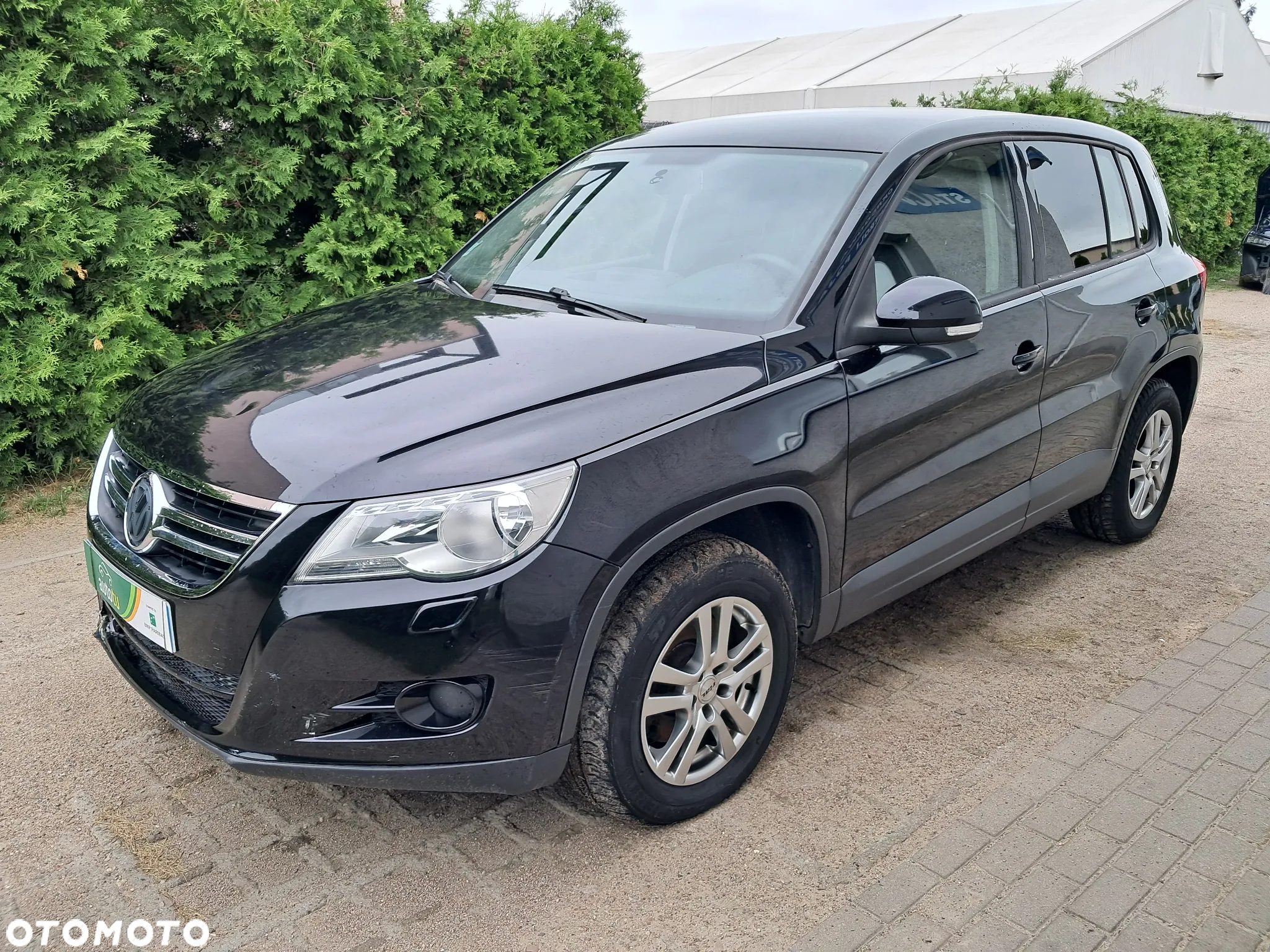 Volkswagen Tiguan - 9
