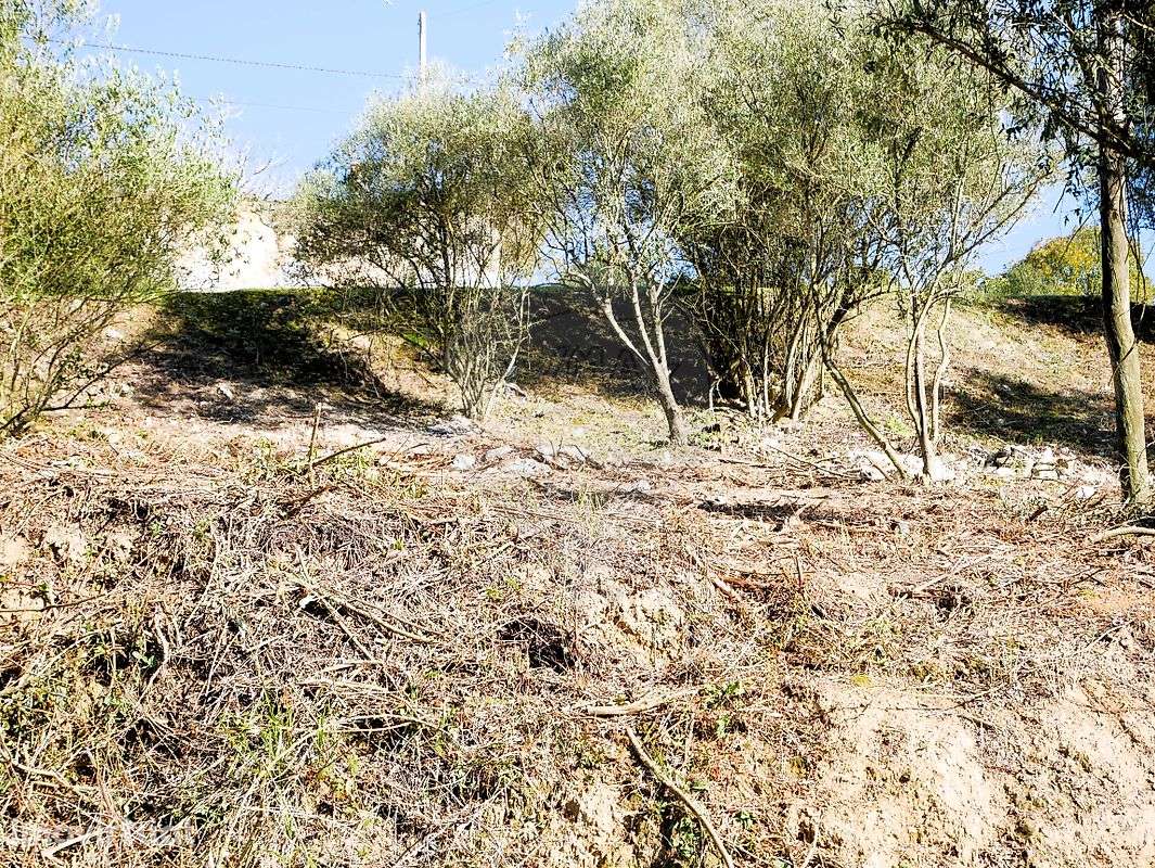 Terreno  para venda - Grande imagem: 5/14