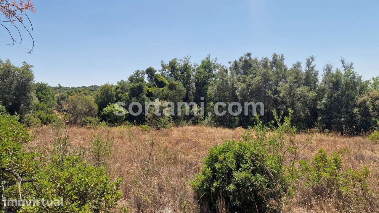 Terreno Para Construção  Venda em Santa Bárbara de Nexe,Faro - Grande imagem: 4/12