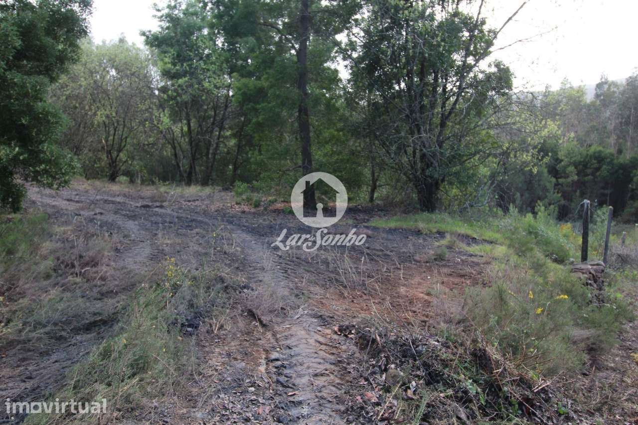 Terreno agrícola com 8.397m2 em Vilarinho das Cambas - Grande imagem: 3/8
