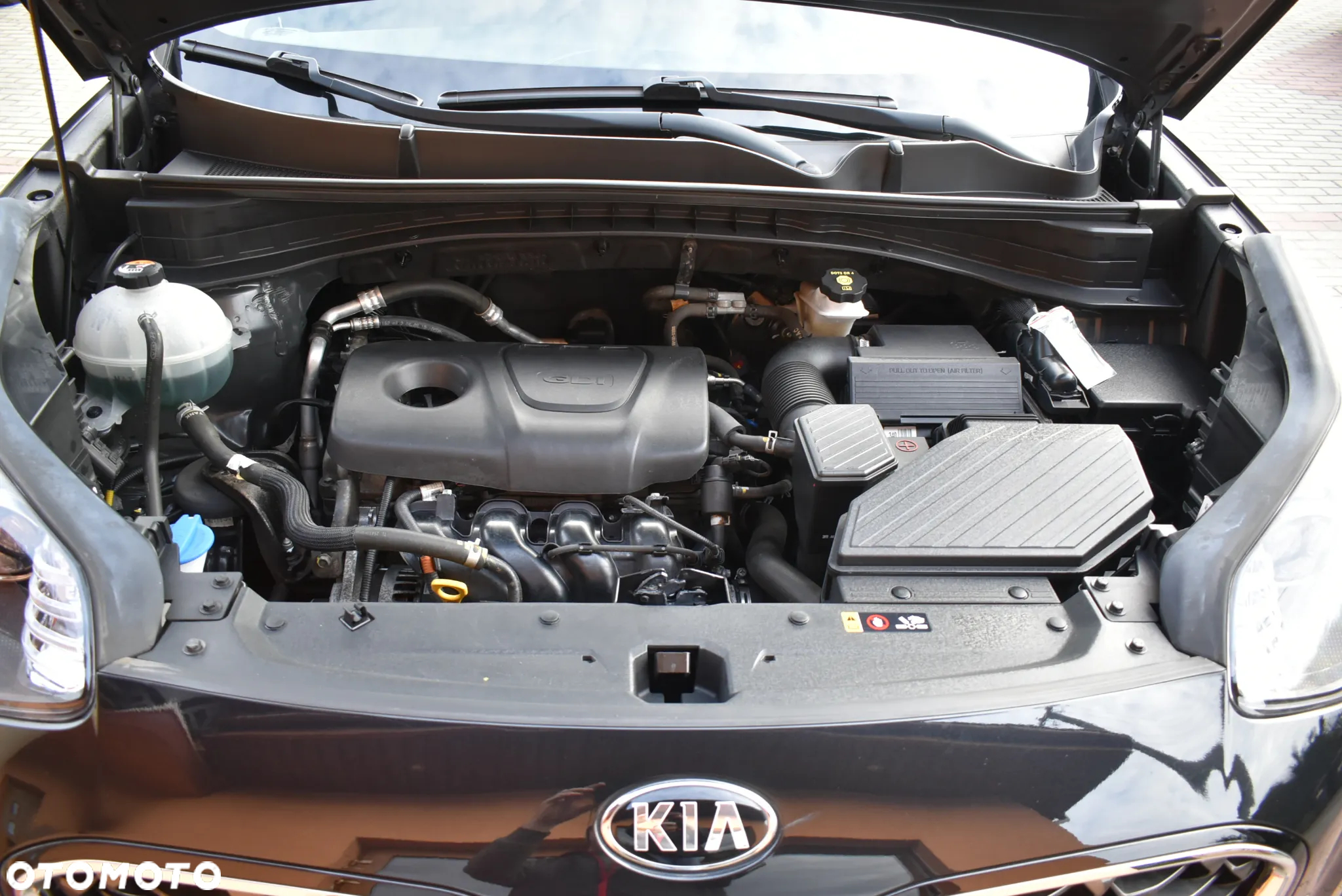 Kia Sportage 1.6 GDI Black Edition 2WD - 36