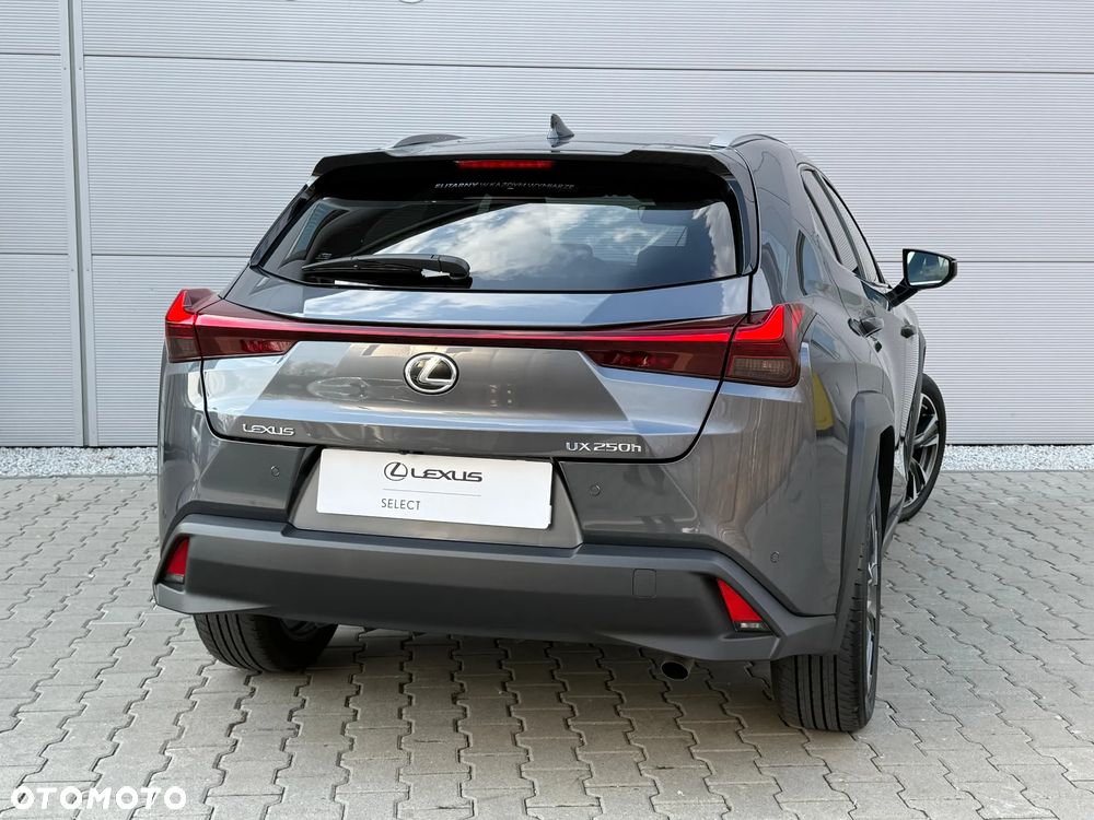 Lexus UX 250h GPF Business 2WD - 6