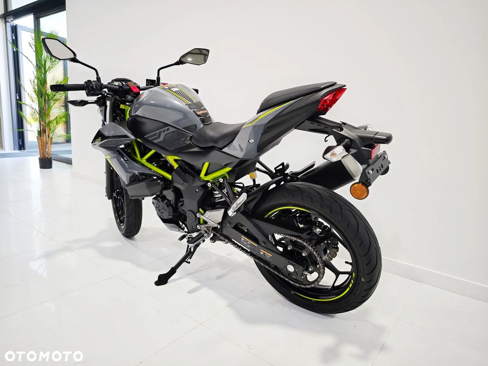 Kawasaki Z - 12