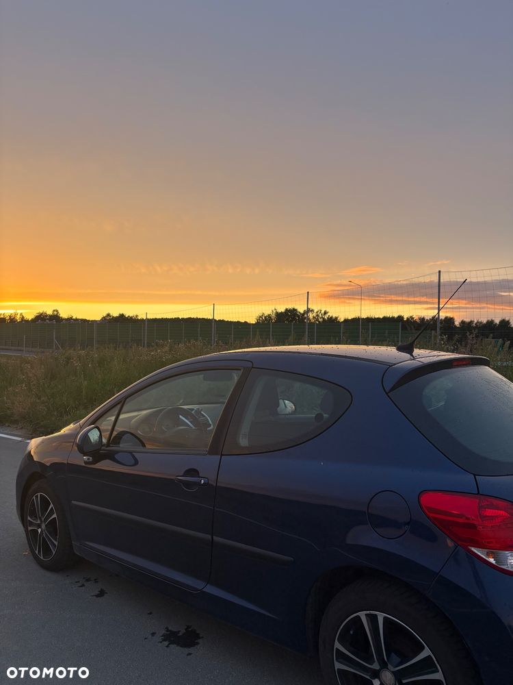 Peugeot 207 - 5