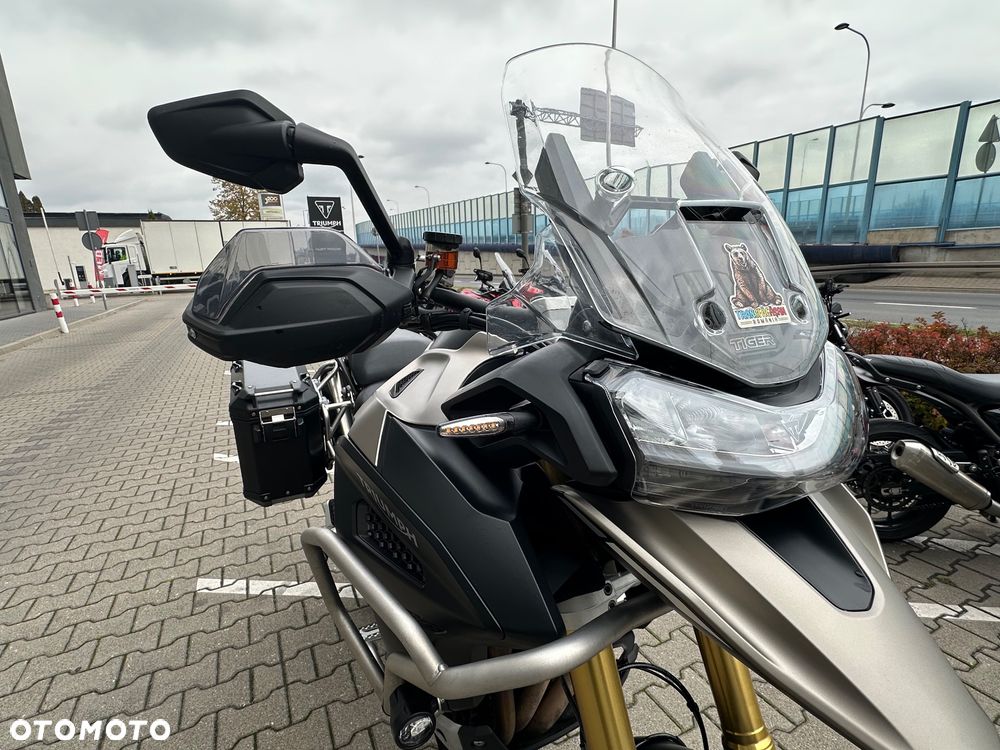 Triumph Tiger - 11