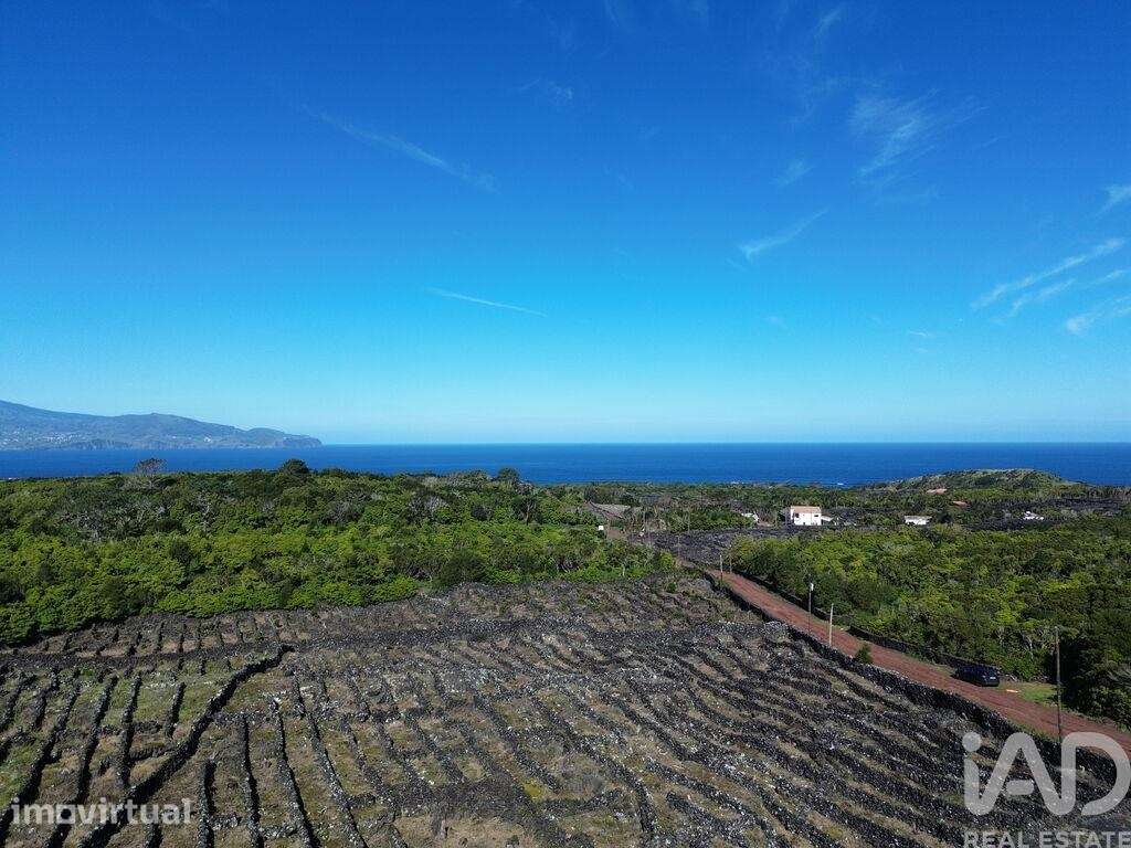 Terreno em Madalena de 20010,00 m2 - Grande imagem: 2/11