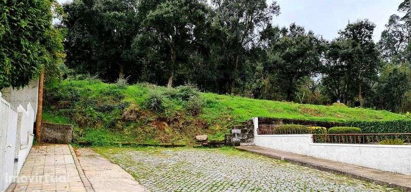 Terreno Urbanizável 10.000m2 - Santo Tirso | Particular - Grande imagem: 5/7