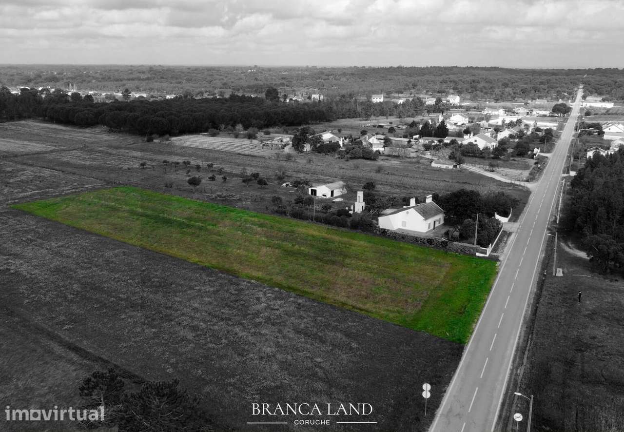 Terreno com 3.850 m2, situado na Branca, concelho de Coruche. - Grande imagem: 2/13