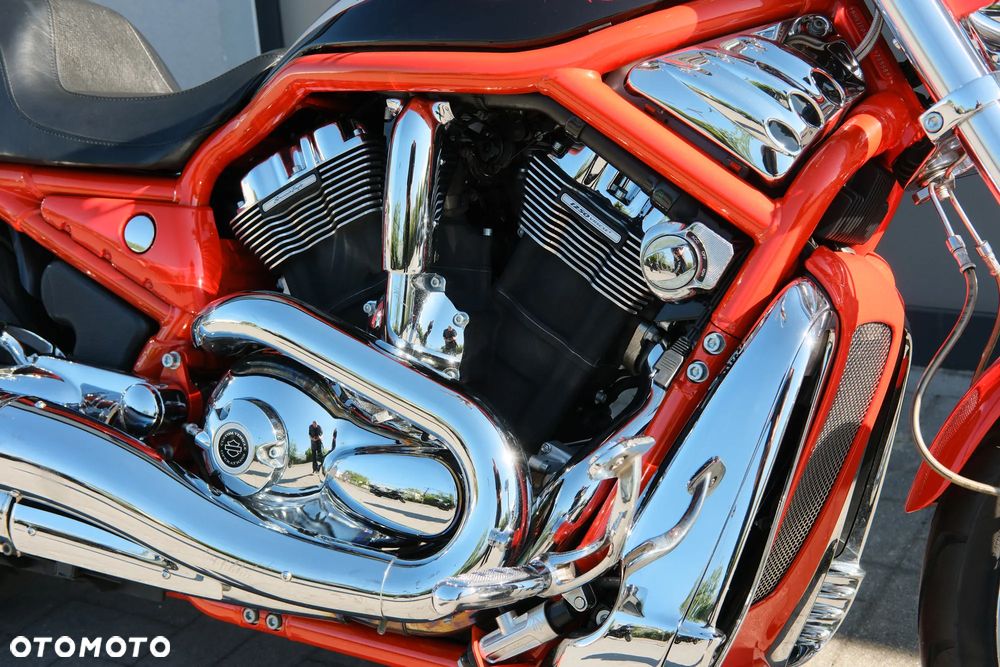Harley-Davidson Softail V-Rod - 6