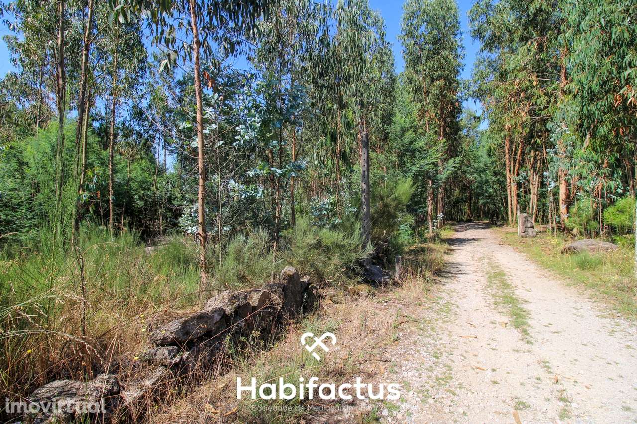A apenas 5 minutos do centro de Tondela - Grande imagem: 4/27