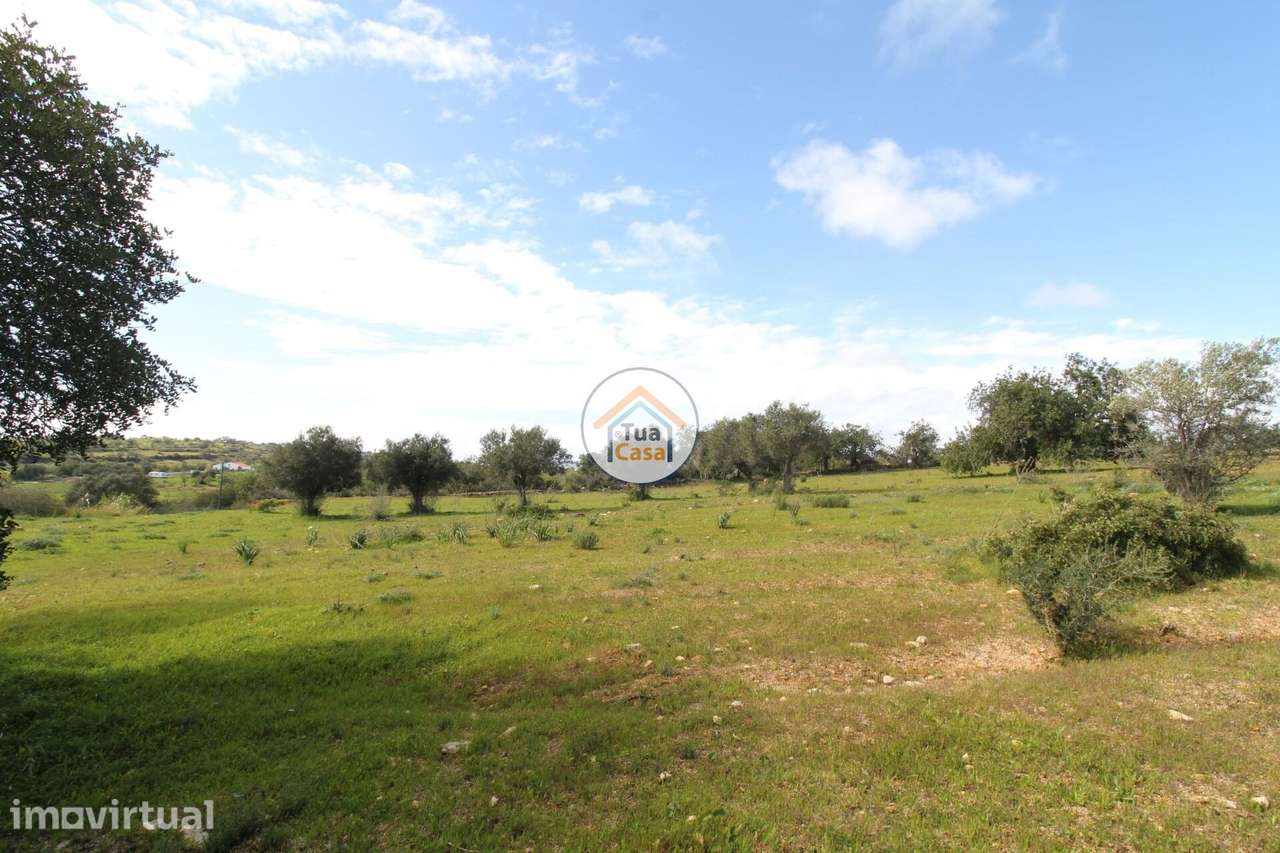 Terreno Rústico com Aproximadamente 3000 m2 Perto de Pechão - Grande imagem: 5/31
