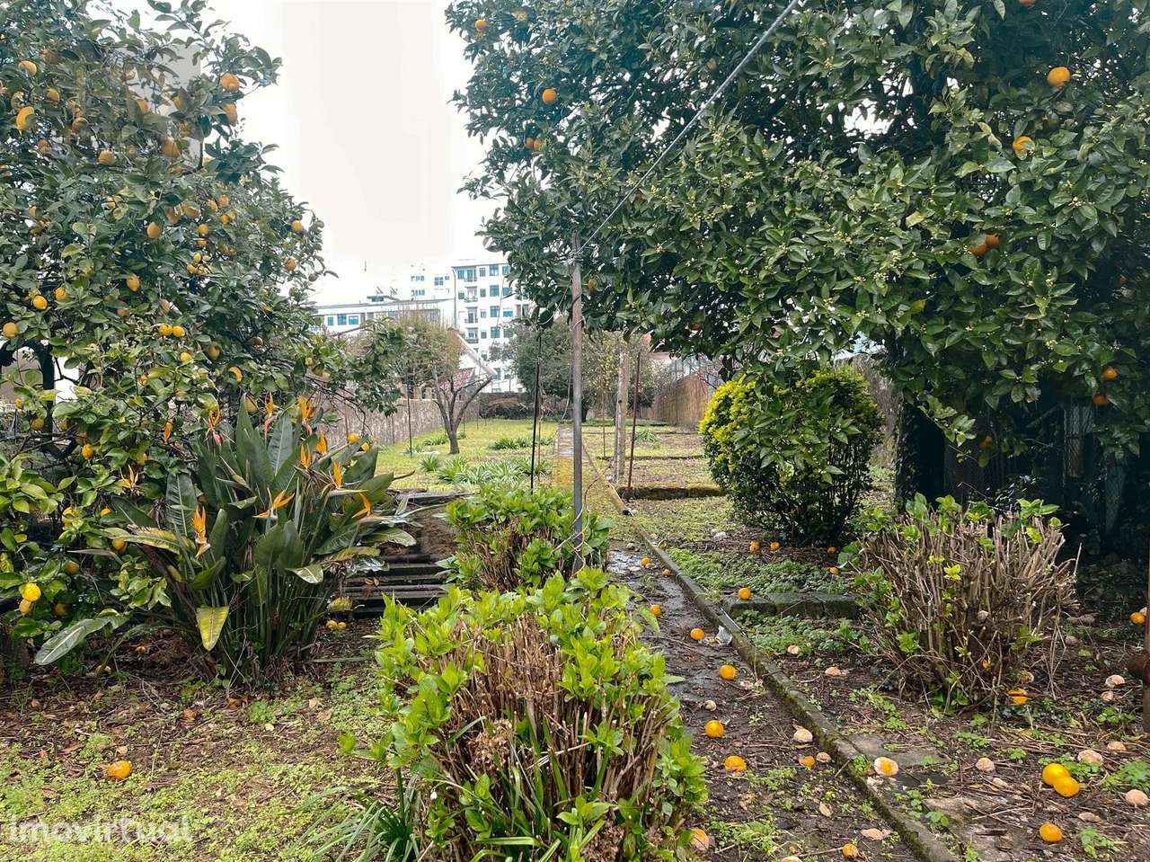 Moradia T6  em Monte dos Burgos - Grande imagem: 3/42