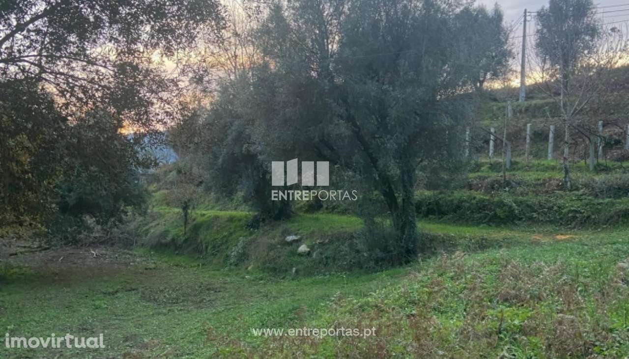 Venda de terreno para construção com 3580m², Cepões, Ponte de Lima - Grande imagem: 4/30