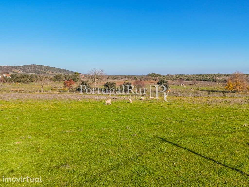 Terreno apto a Alojamento Local - Grande imagem: 4/8