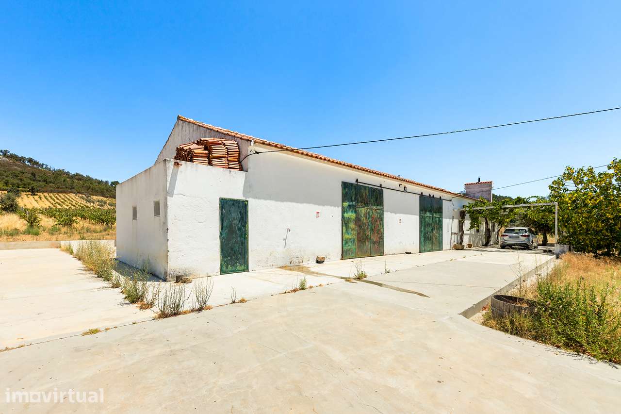Quinta Vinícola em Alegrete - Grande imagem: 4/30