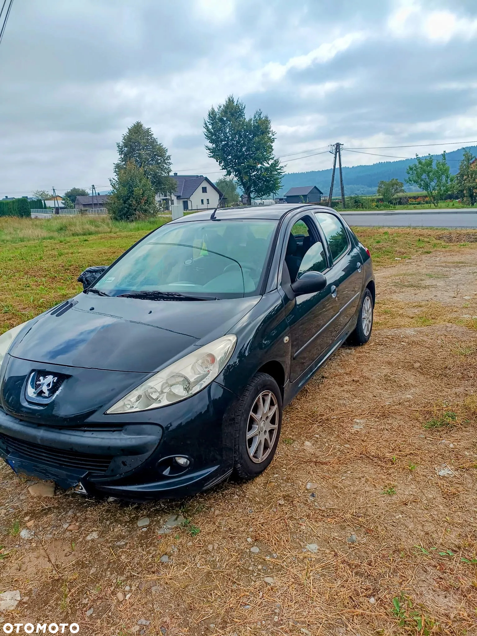 Peugeot 206 plus 206+ 60 - 3