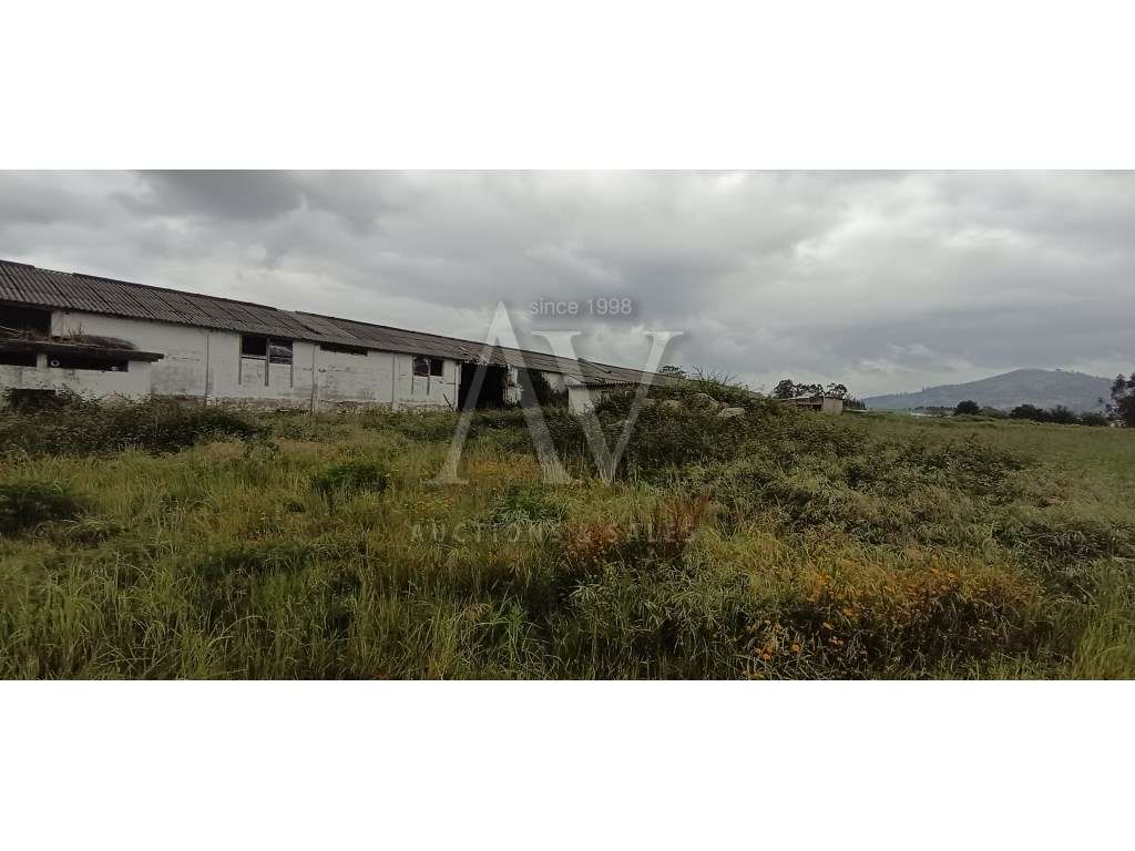 INDÚSTRIA E COMÉRCIO ALIMENTAR - VILA NOVA DE FAMALICÃO - GUIMARÃES... - Grande imagem: 4/12