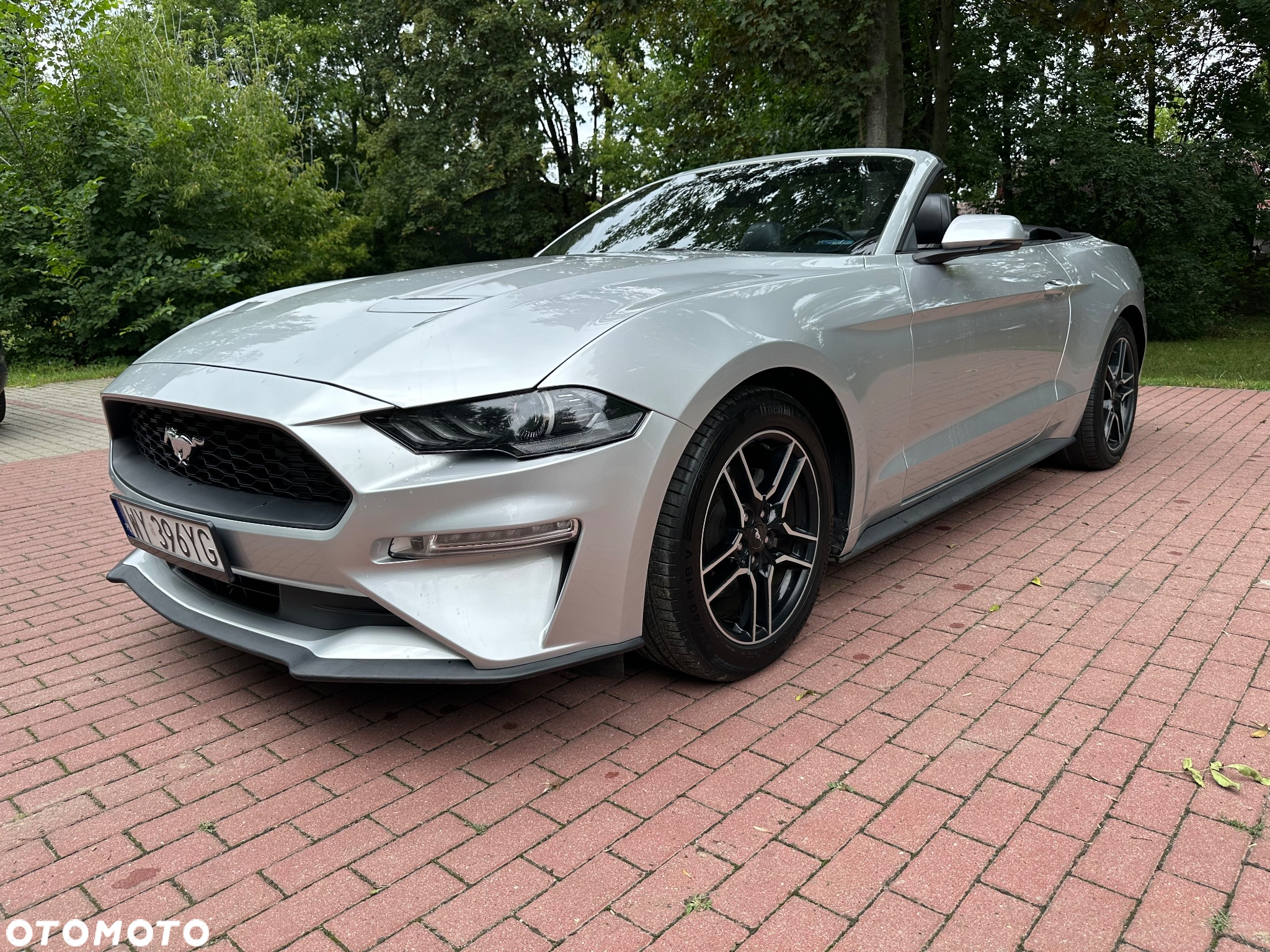 Ford Mustang 2.3 EcoBoost - 7