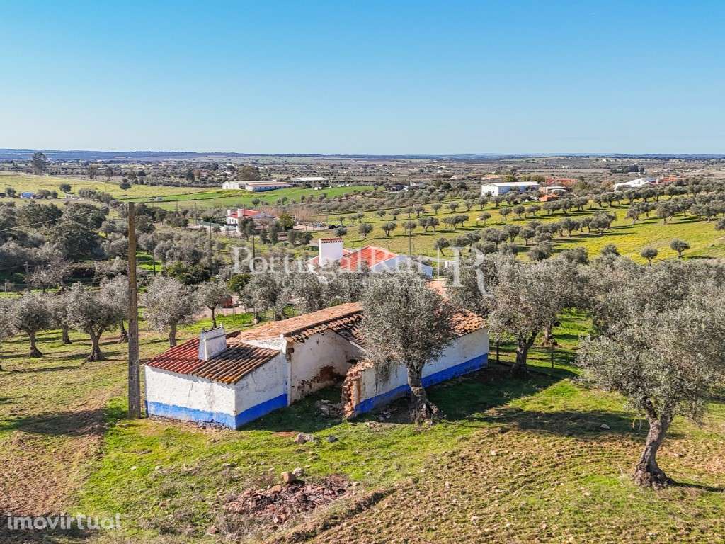 Monte alentejano para recuperar - Grande imagem: 2/10