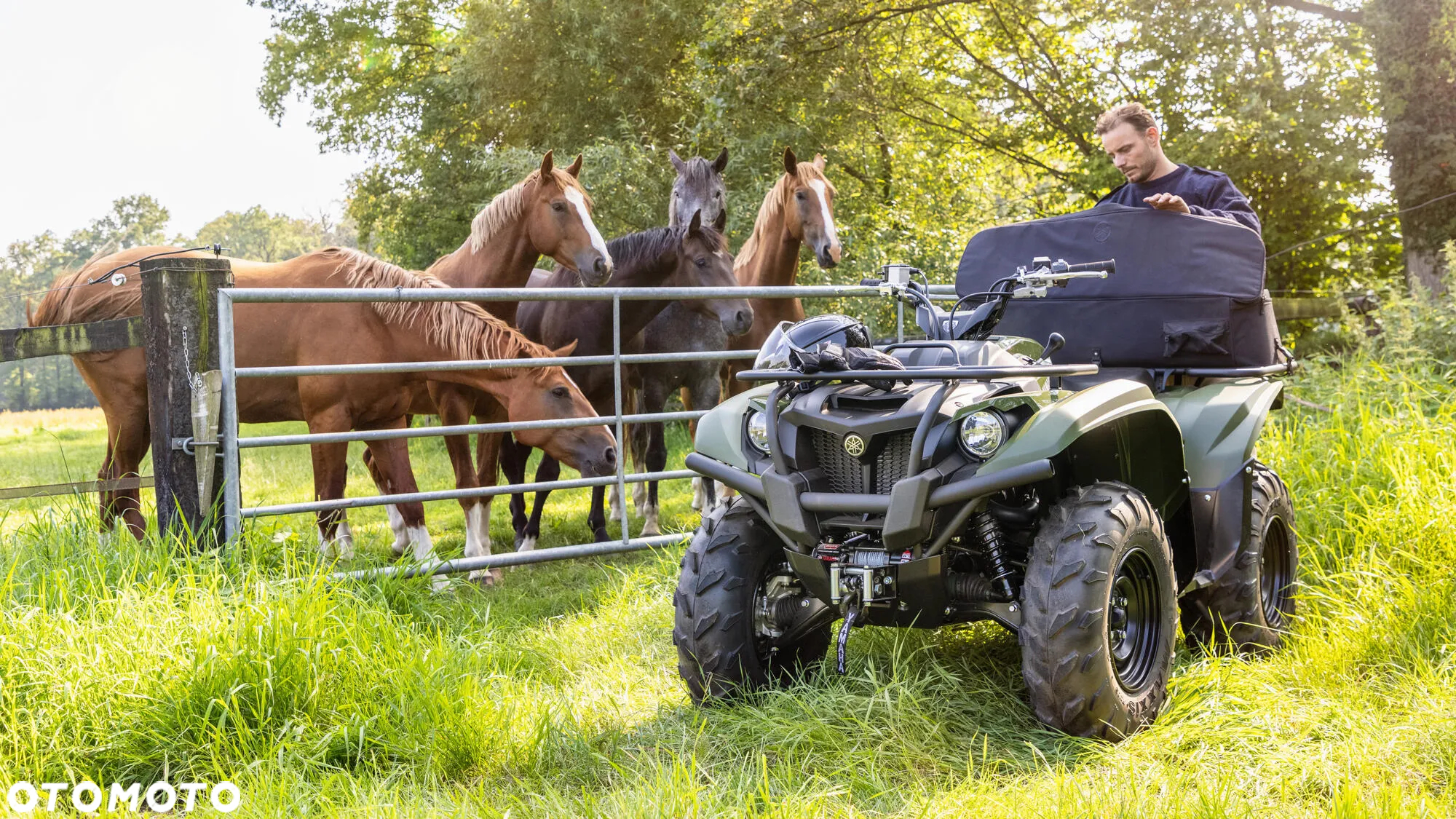Yamaha Kodiak - 2