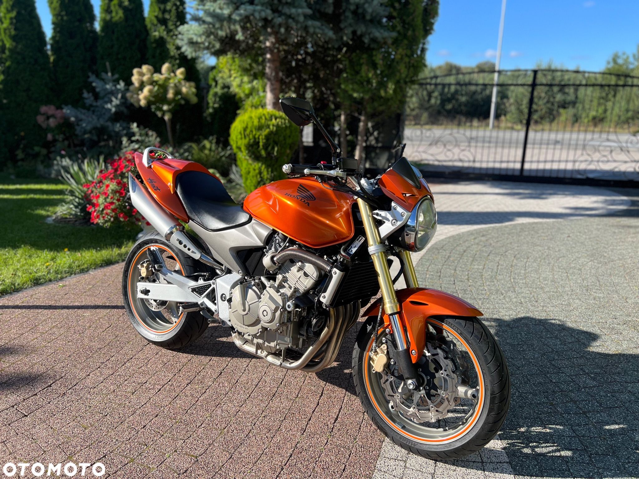 Honda Hornet - 1