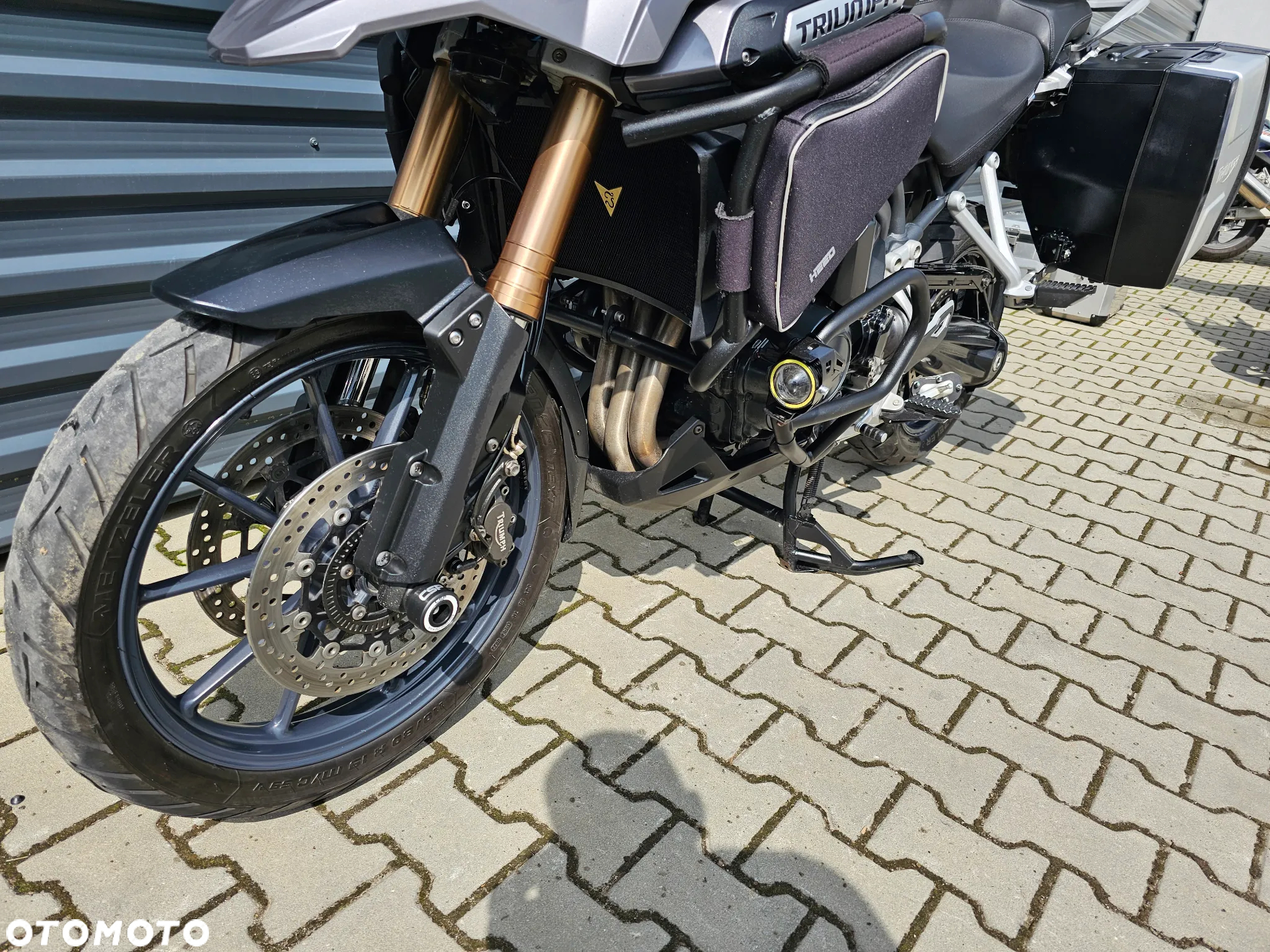 Triumph Tiger - 18
