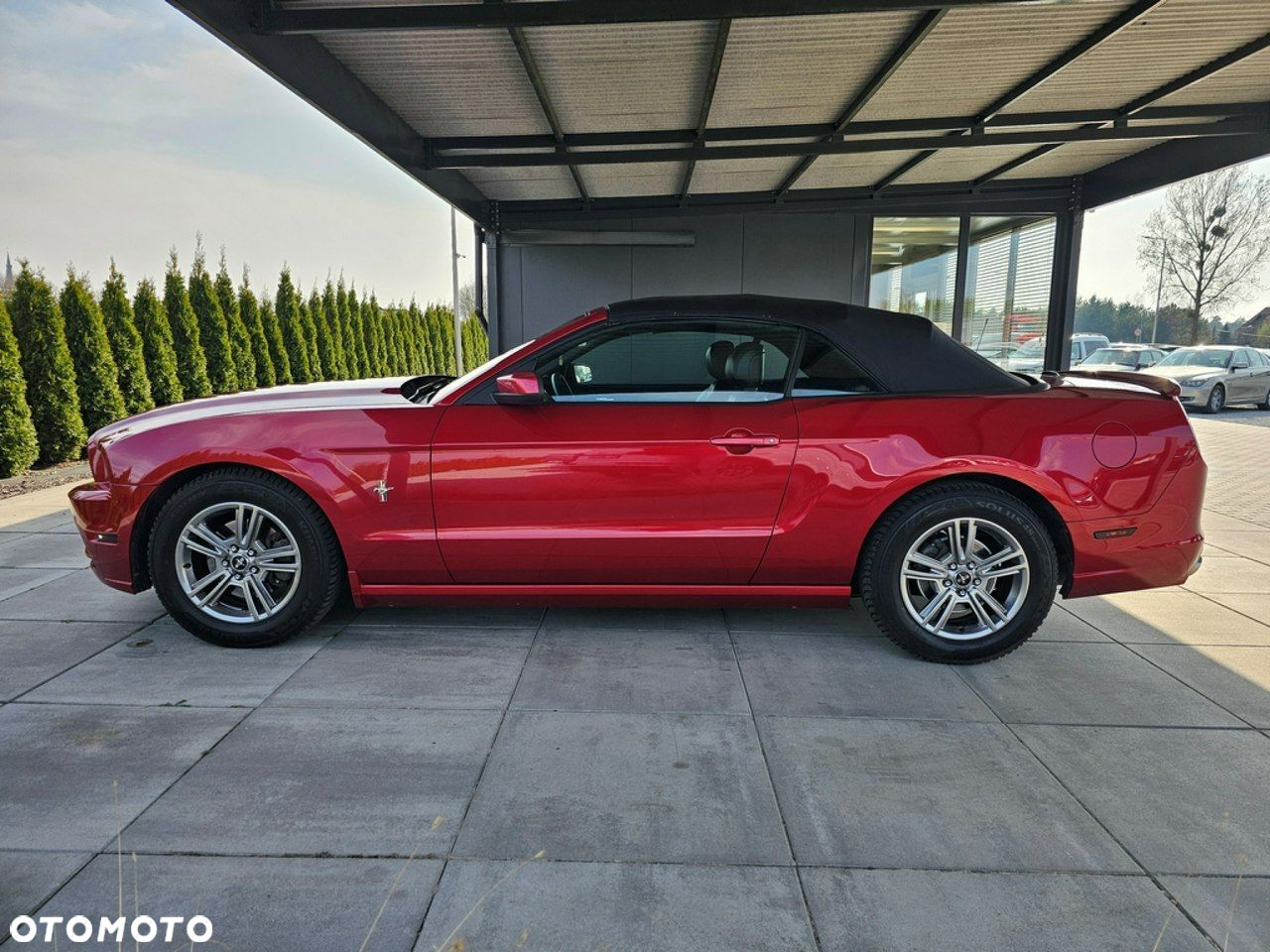 Ford Mustang - 14