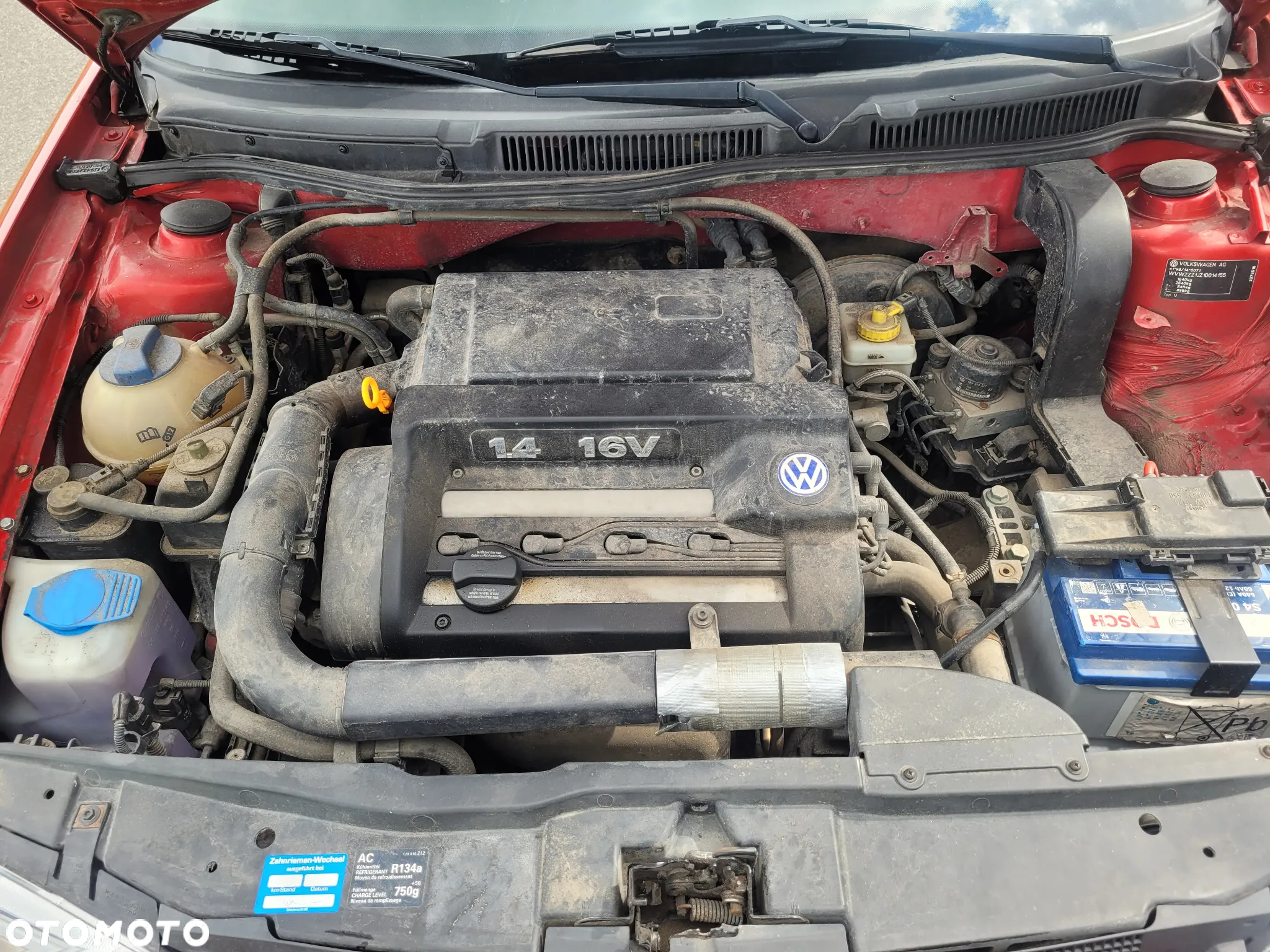 Volkswagen Golf IV 1.4 Trendline - 9