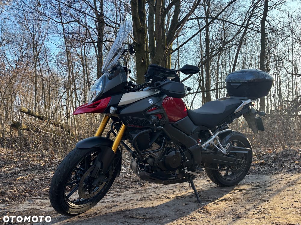 Suzuki DL - 11