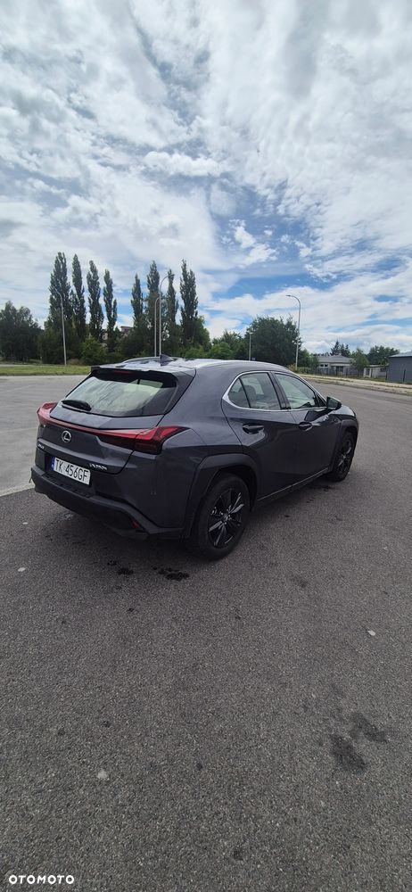 Lexus UX 250h - 5