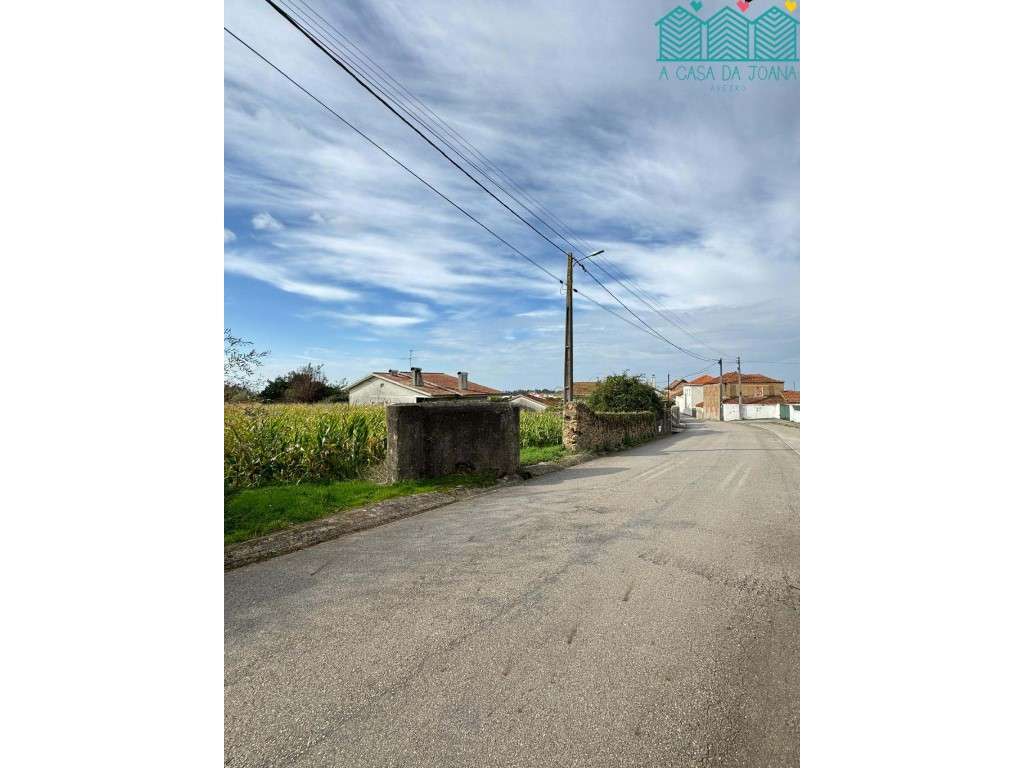 2 Terrenos na Branca - Grande imagem: 3/7