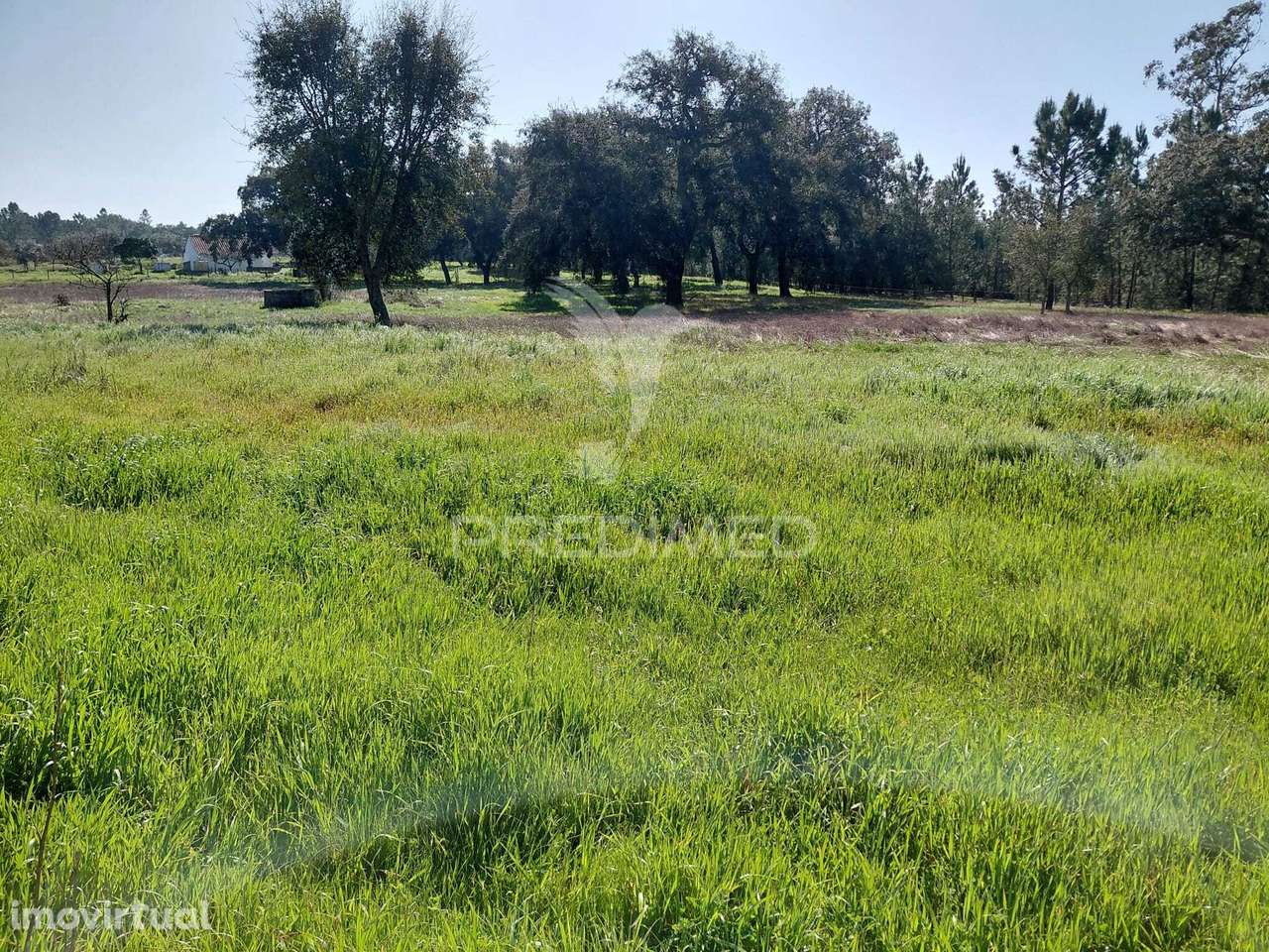 Monte da Figueirinha, São Domingos, Santiago do Cacém. - Grande imagem: 3/3