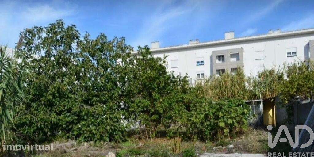 Terreno em Ajuda de 2000,00 m2 - Grande imagem: 3/11