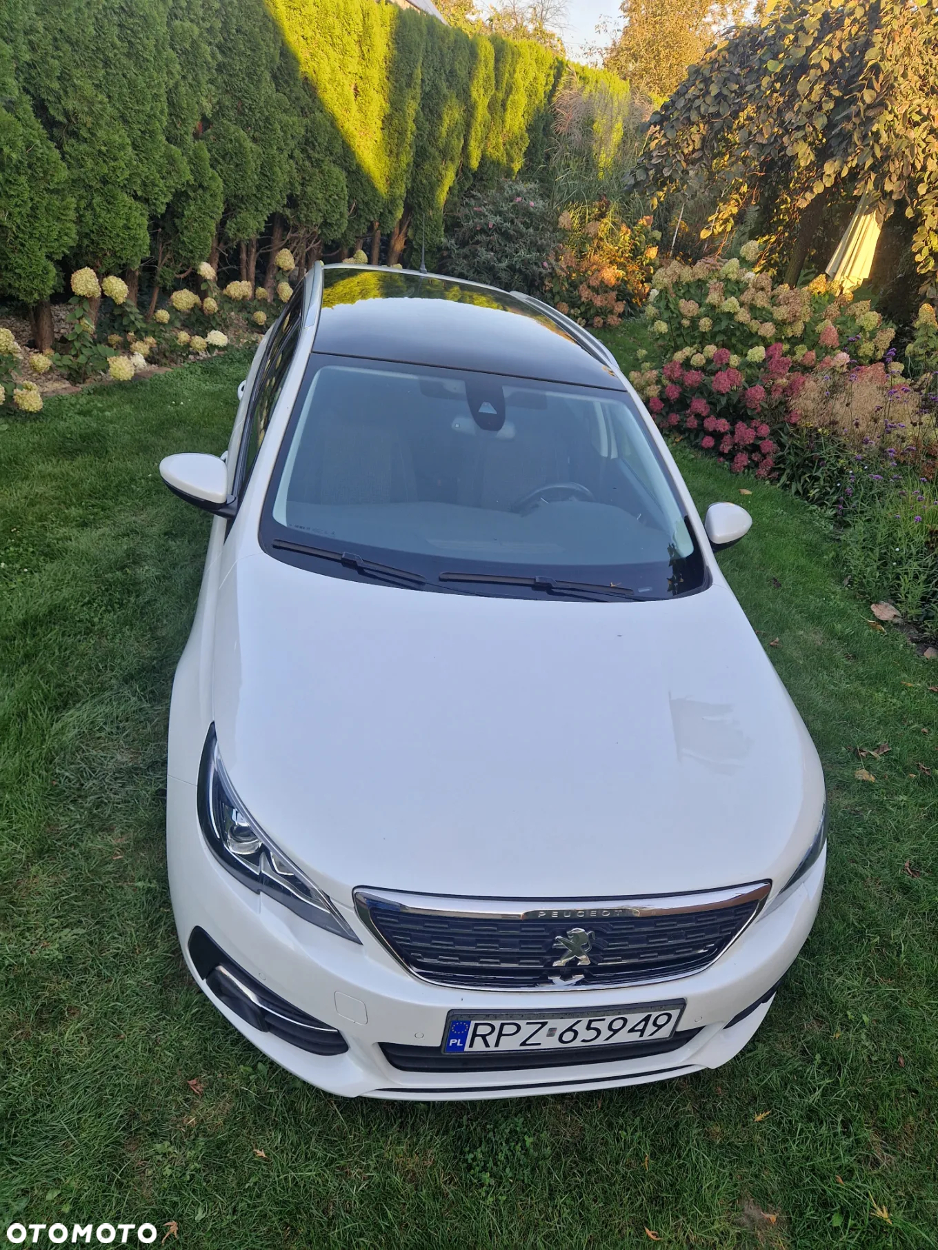Peugeot 308 SW BlueHDi 120 Stop & Start Active - 31