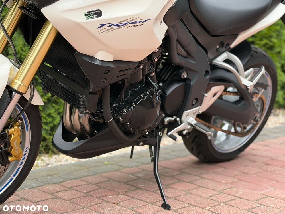 Triumph Tiger - 17