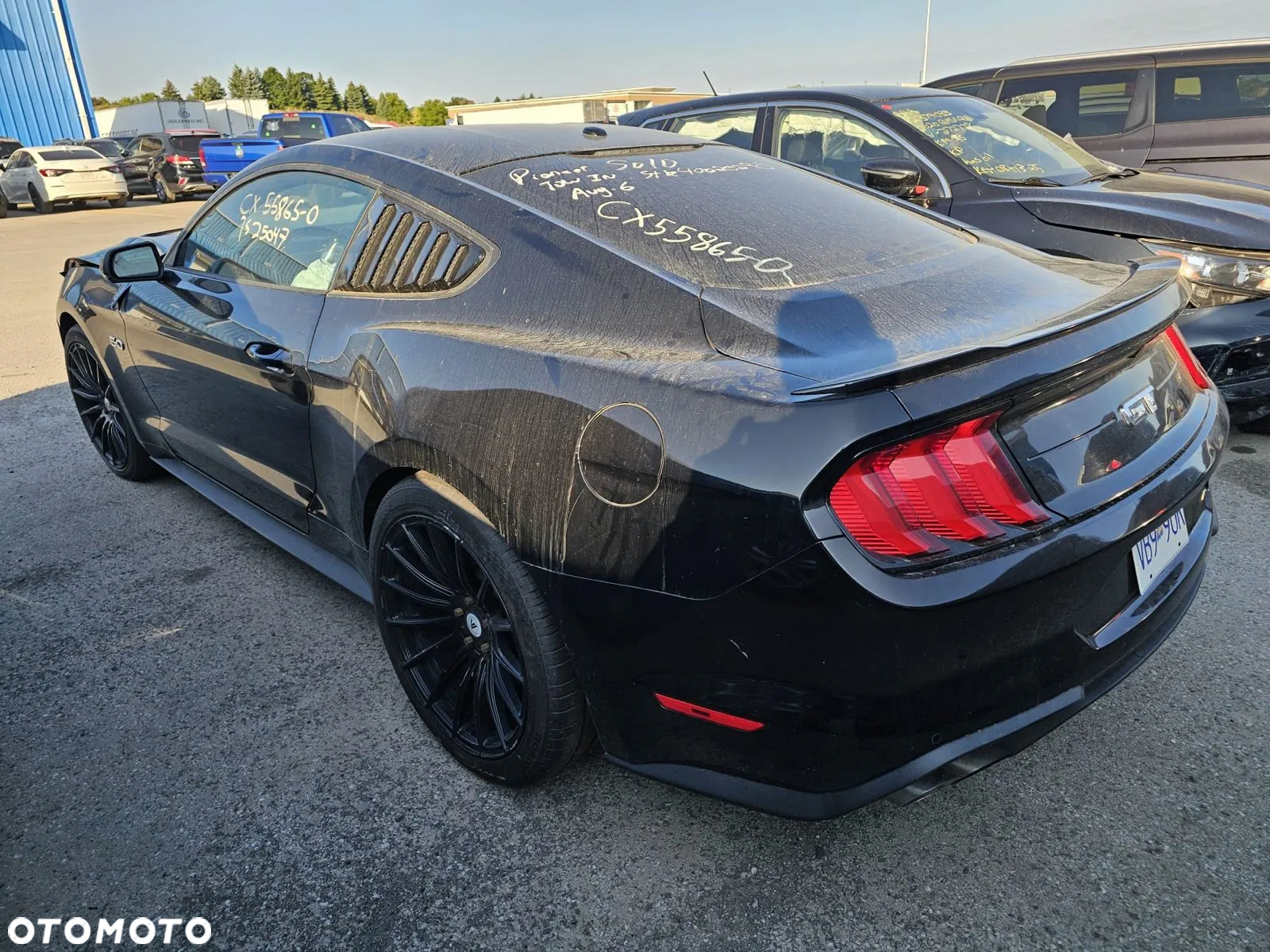 Ford Mustang - 4