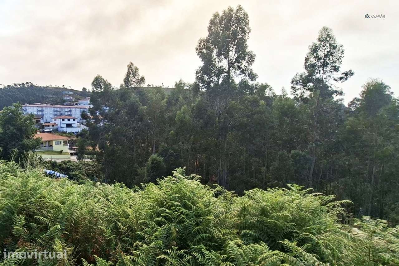Terreno Rústico  Venda em Lustosa e Barrosas (Santo Estêvão),Lousada - Grande imagem: 5/14